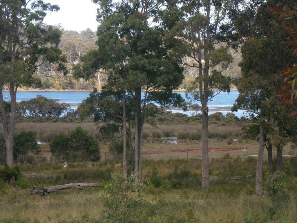 Top Of The Lake Holiday Units Merimbula Ngoại thất bức ảnh