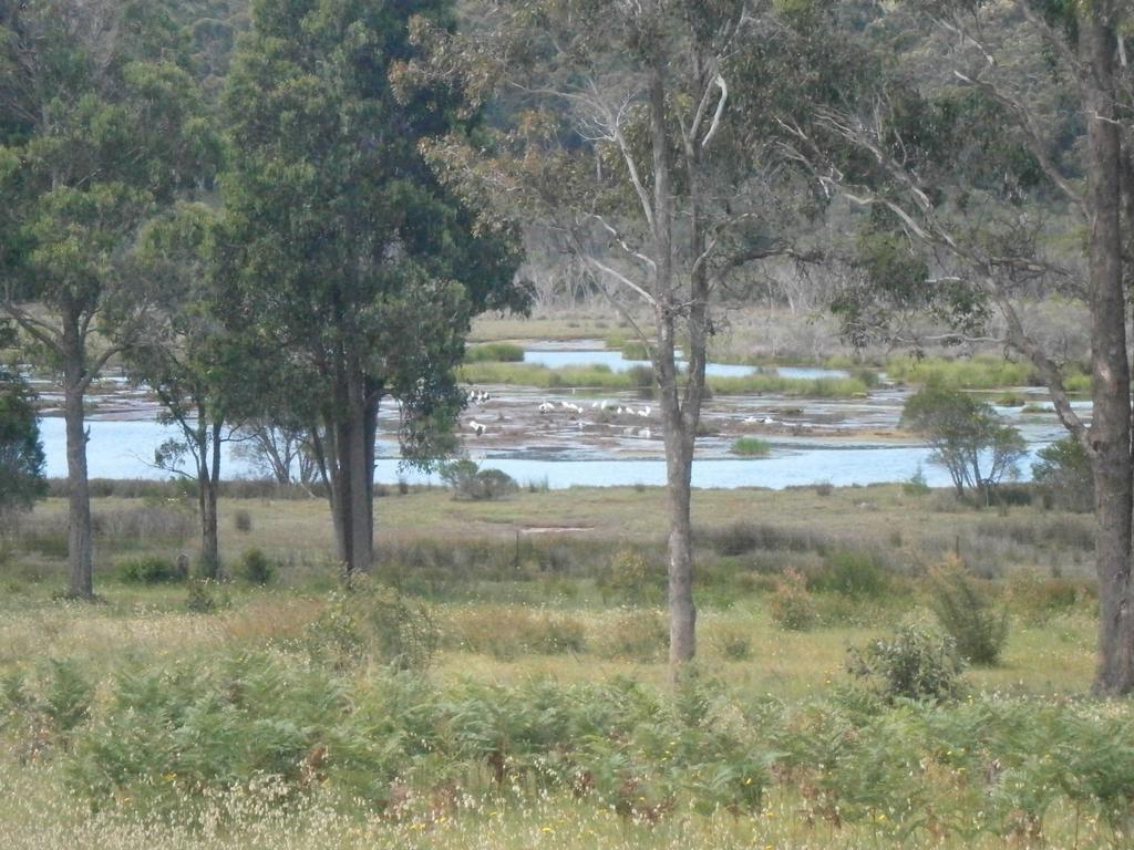 Top Of The Lake Holiday Units Merimbula Ngoại thất bức ảnh